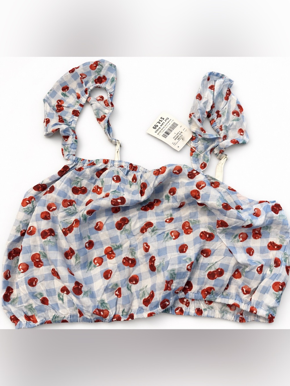 Blue Gingham Cherry Print Crop Top